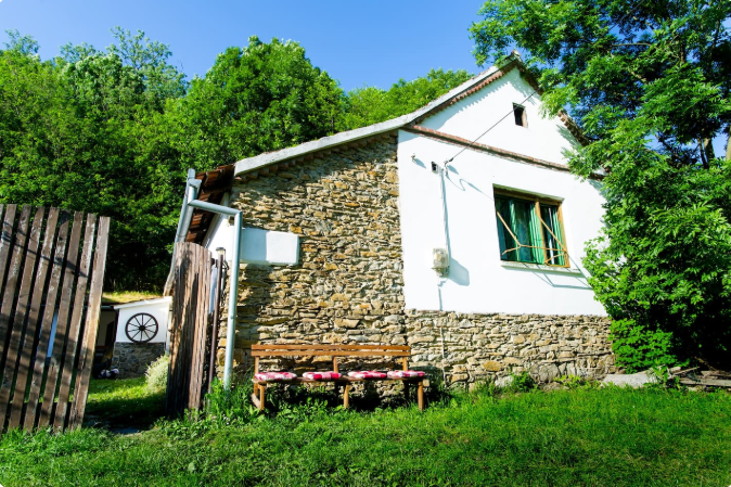 casa traditionala sub magrin