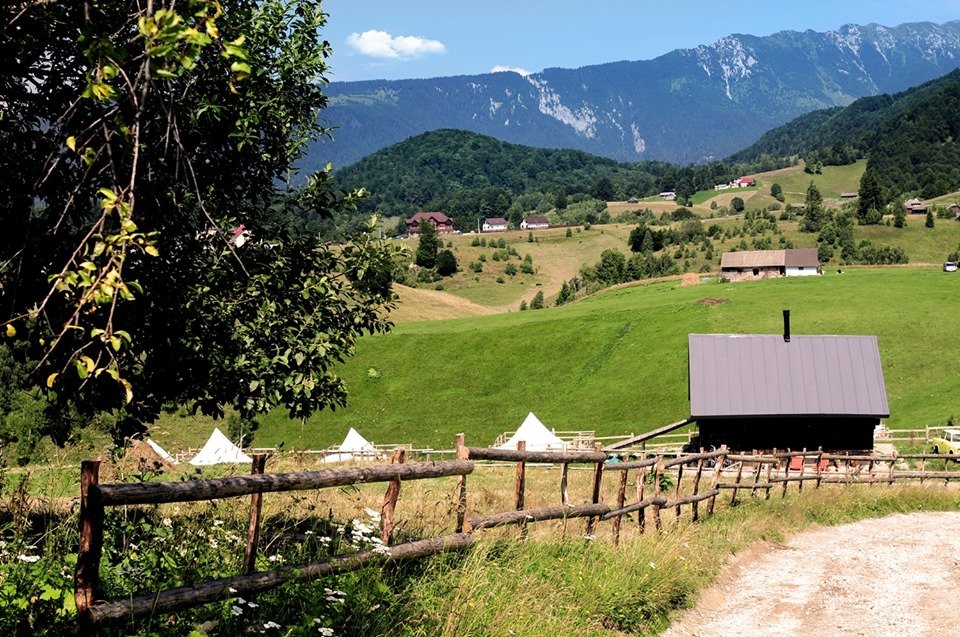 cazare glamping piatra craiului