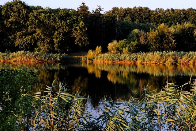 Sit natura 2000