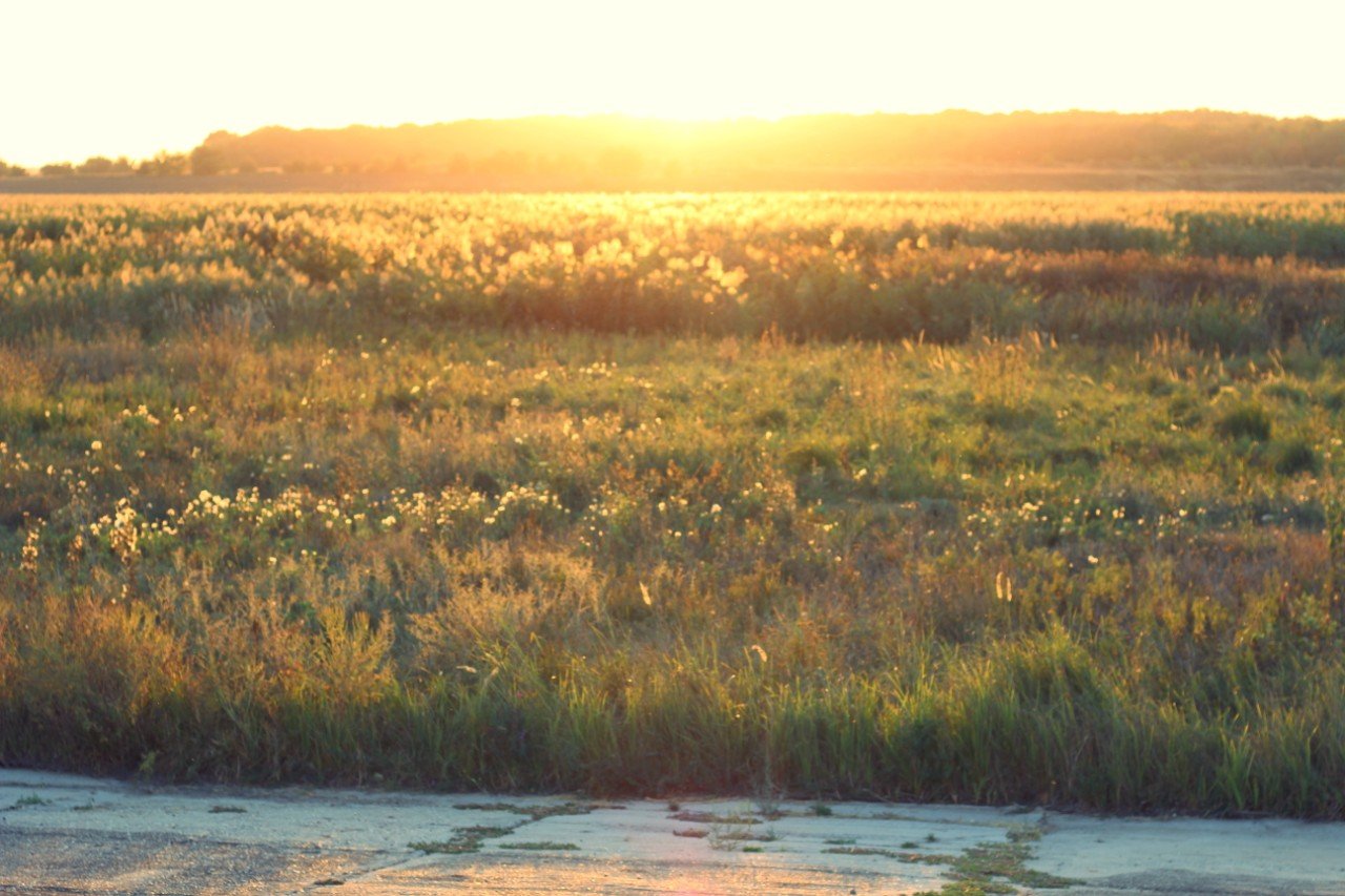 sit natura 2000