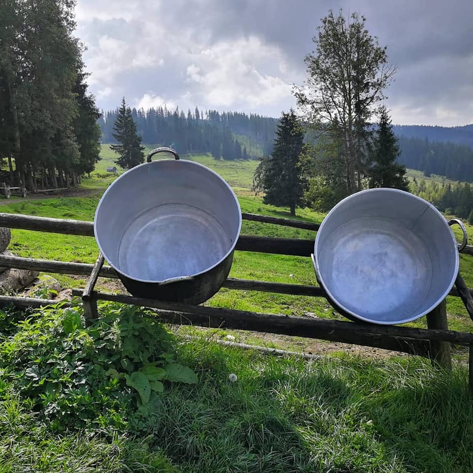 experiente stana bucovina