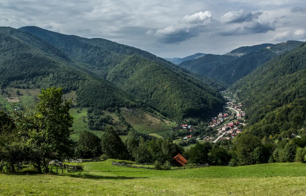 plopi cluj