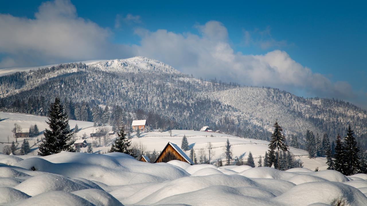 iarna in apuseni