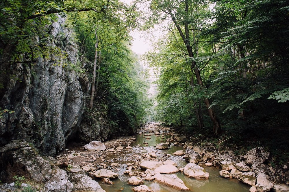 excursii cu ghid romania