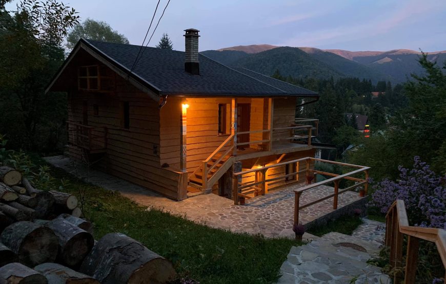 boarder's cottage sinaia