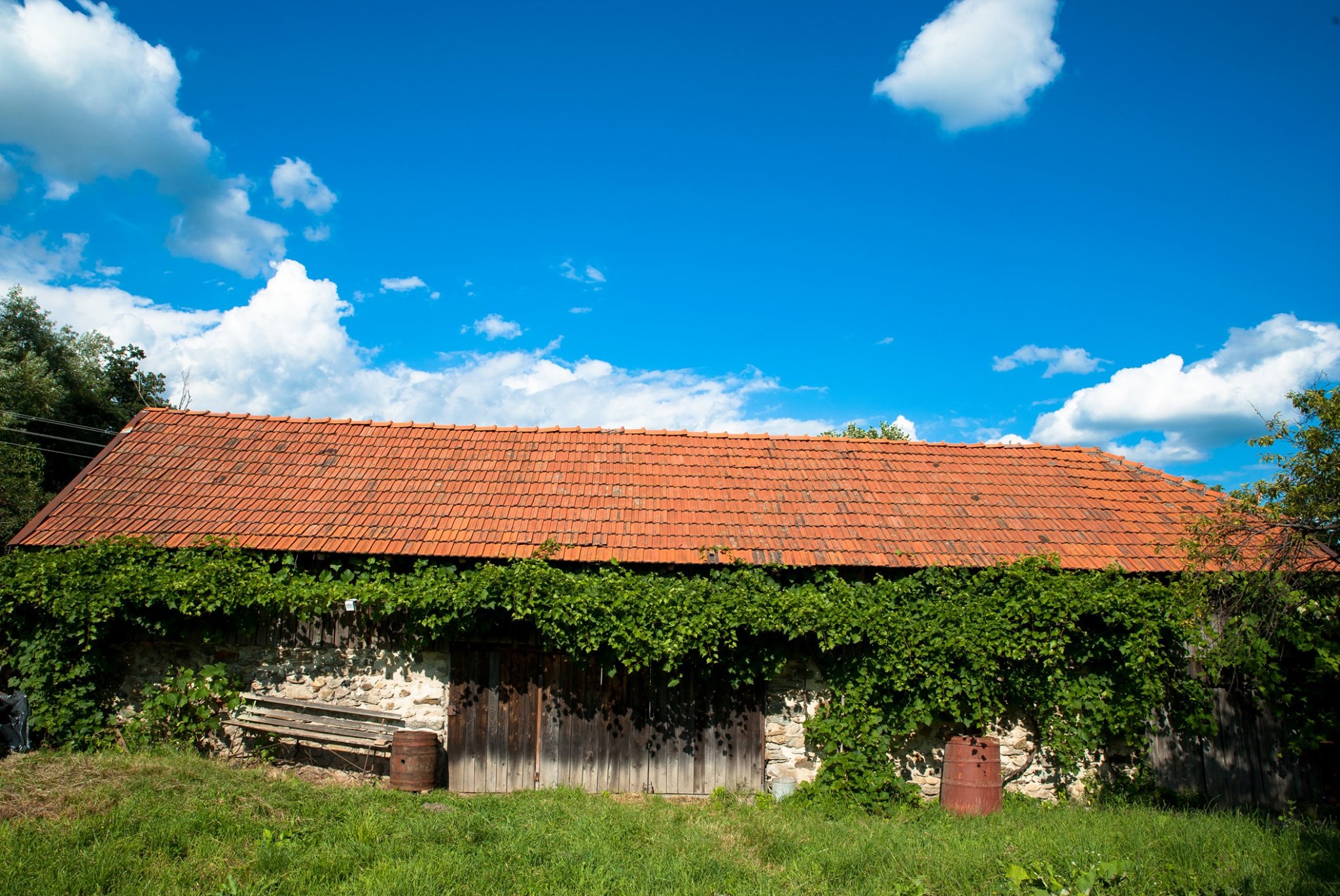 cazare traditionala transalpina