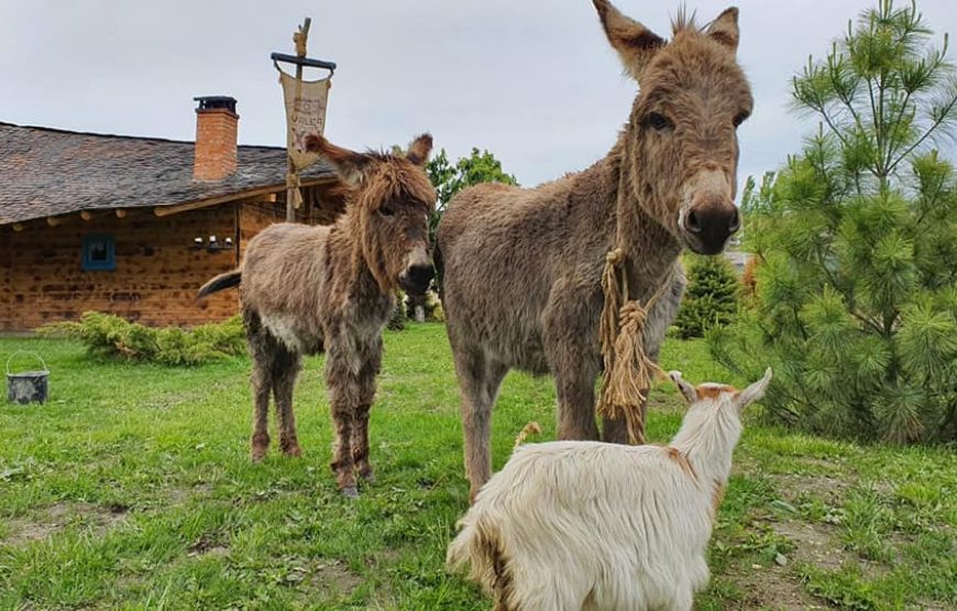 cazare casute hobbit romania