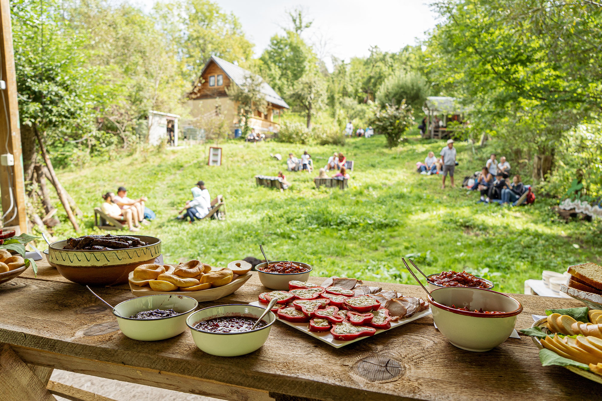 brunch muscel dambovita