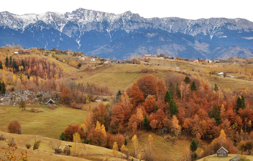 magura, brasov