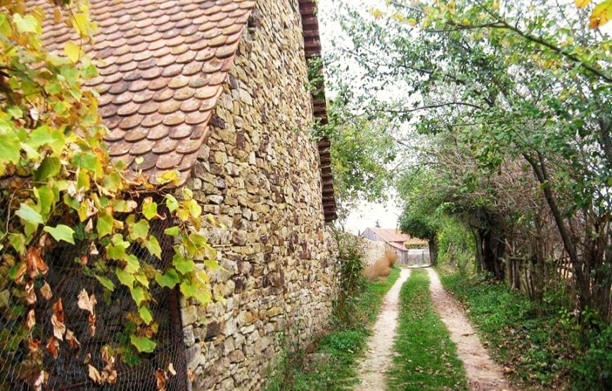 vacanta traditionala transilvania