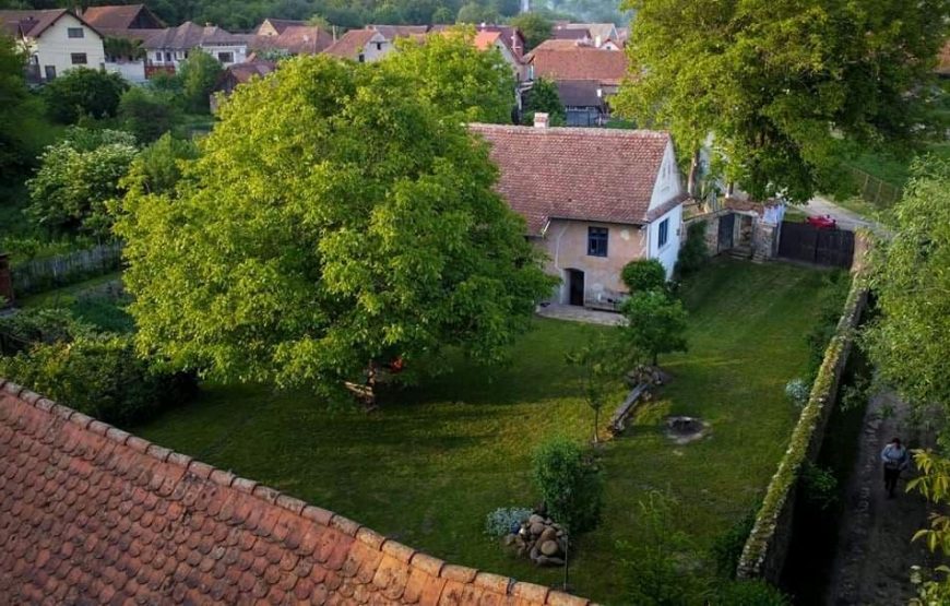 Casa din Șona