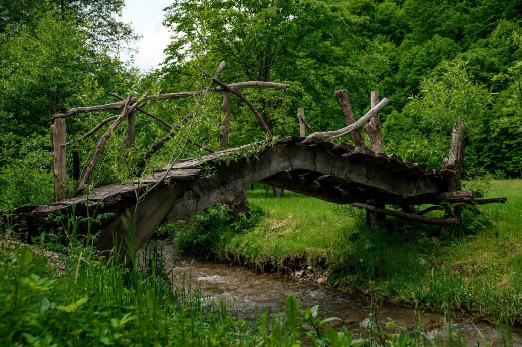 gradina valea draganului cluj