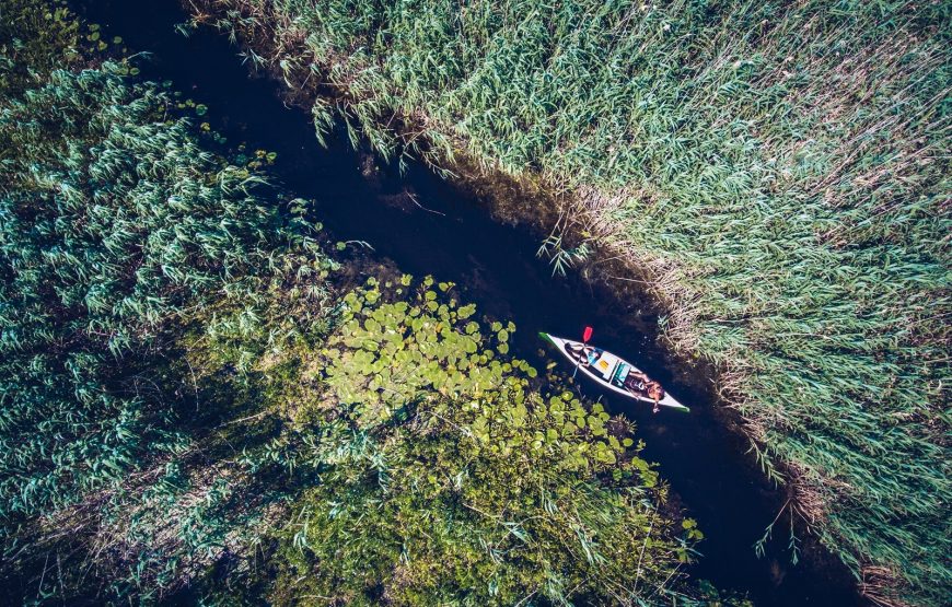 excursii cu barca delta dunarii