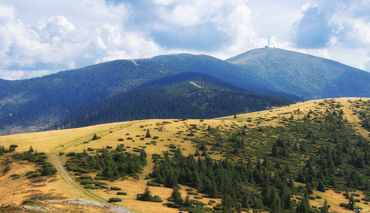 obiective turistice bihor