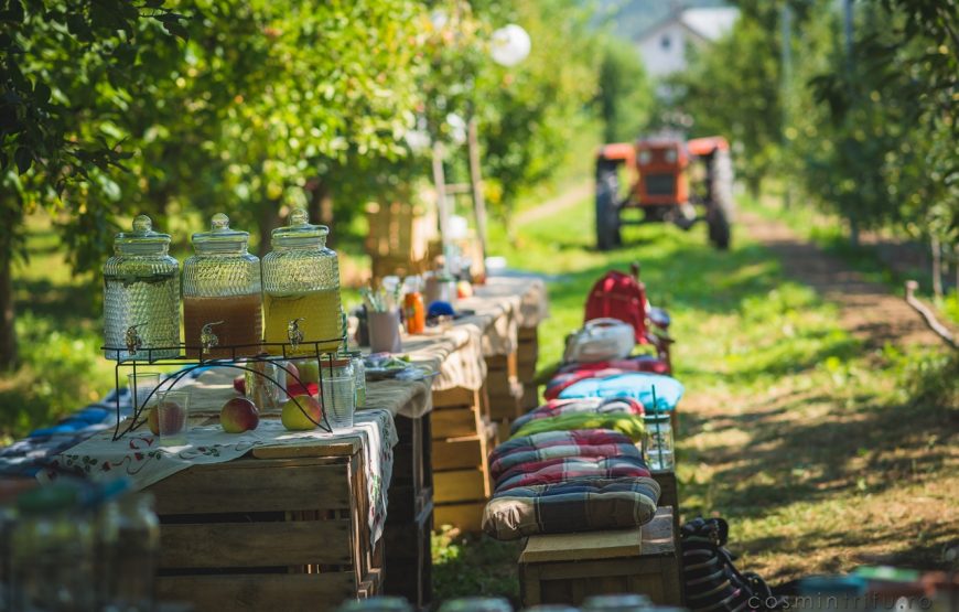 vacanta in romania craita merelor