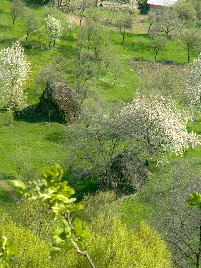 maramures