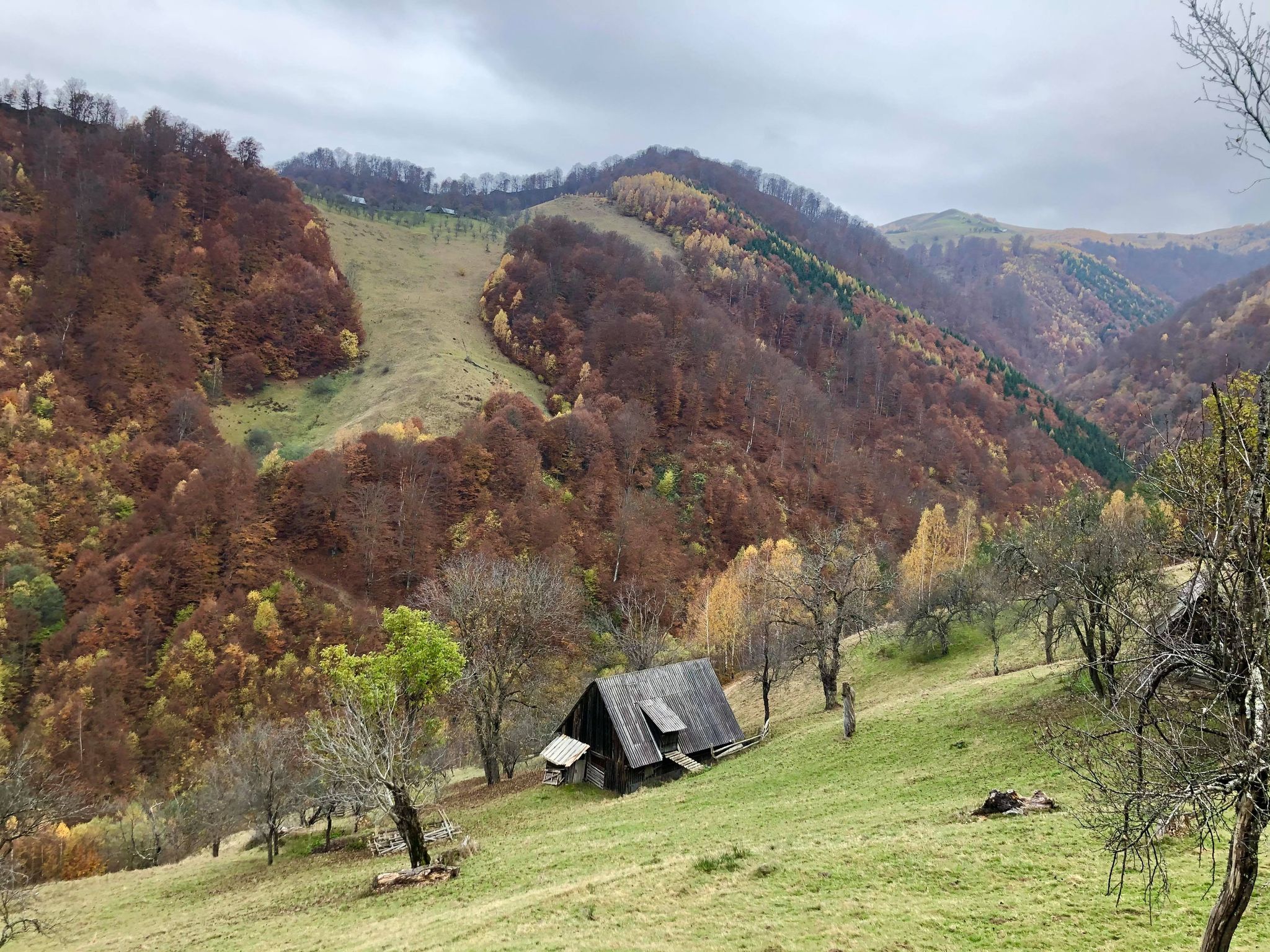 vacanta in transilvania