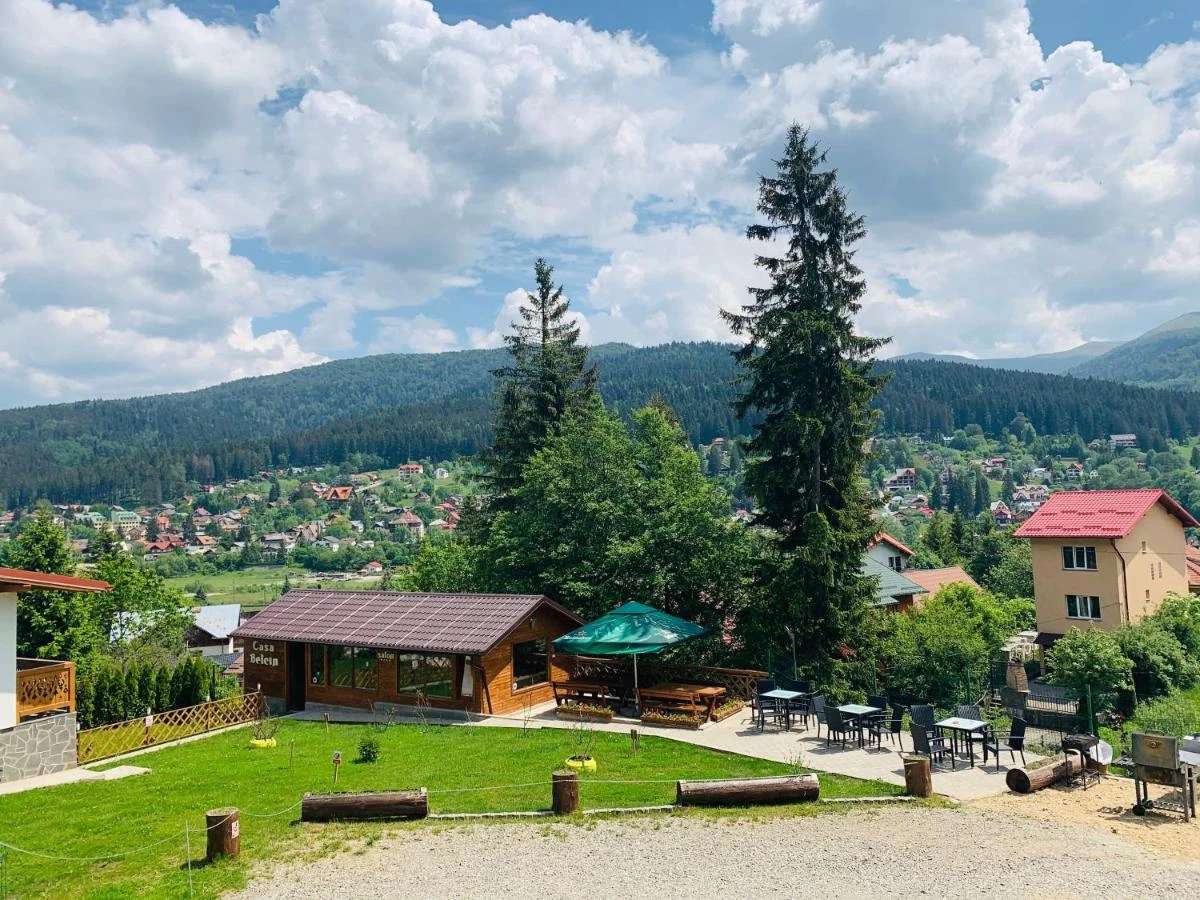 cabane grupuri busteni