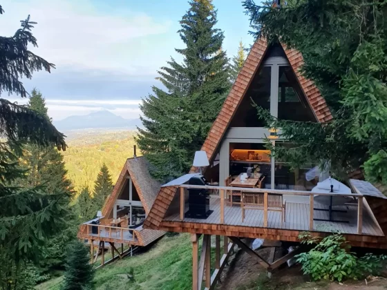a-frame apuseni