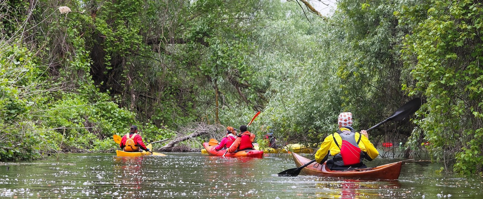 excursions in the danube delta