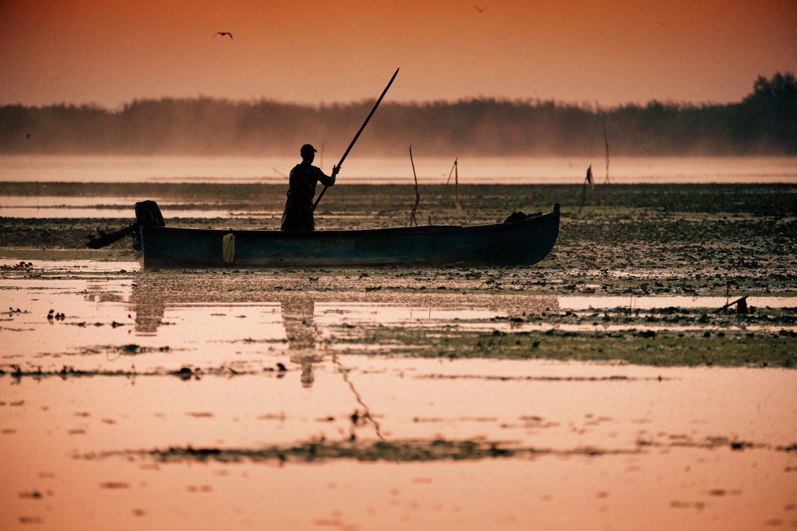 pescuitul in delta dunarii
