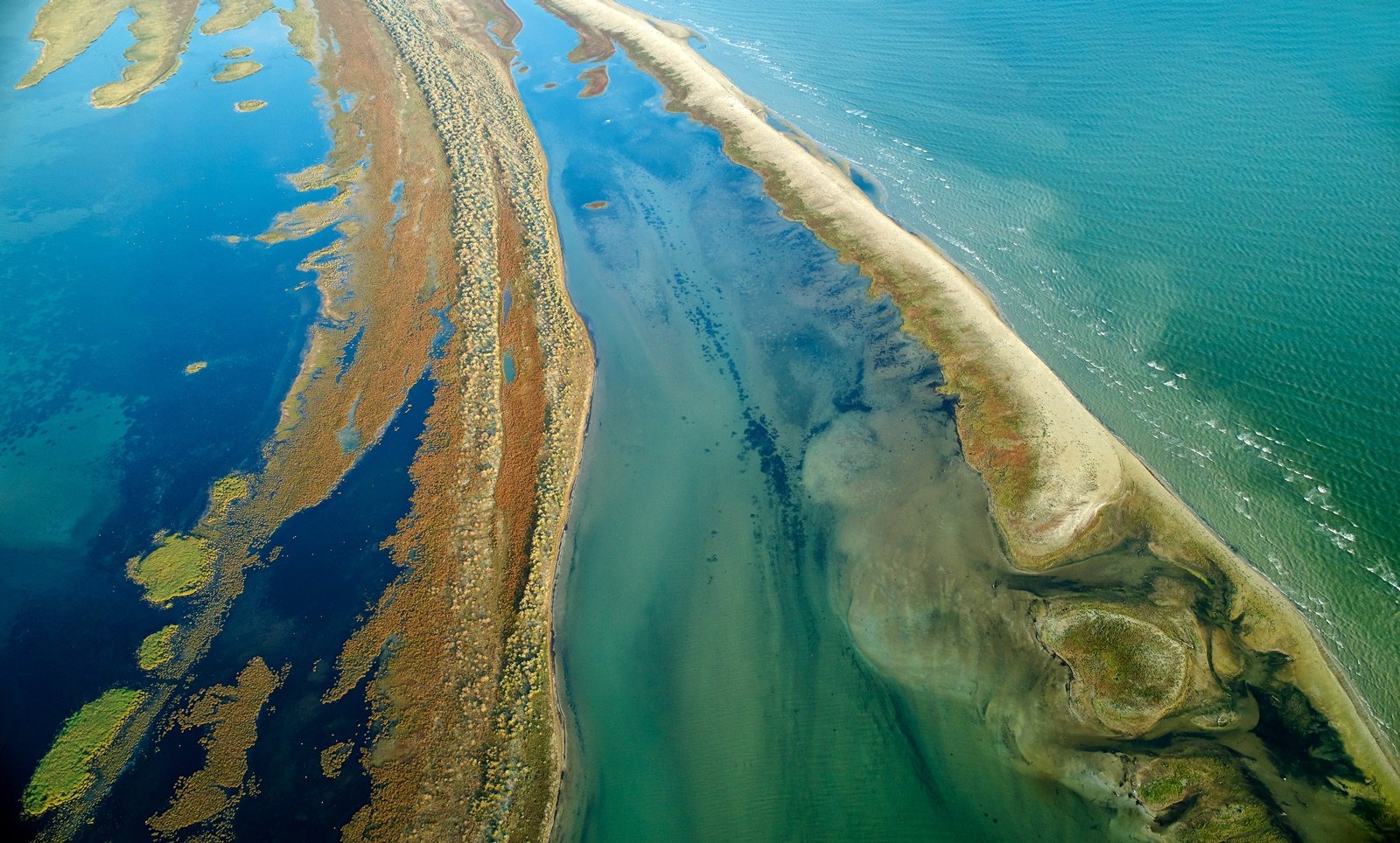 lucruri interesante despre delta dunarii