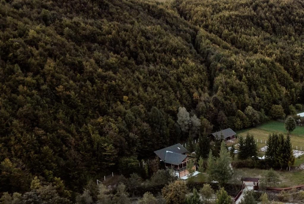 cabana inedita in bucovina