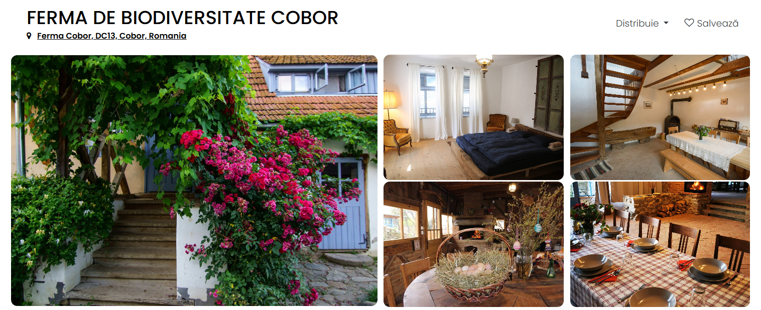 cazari unice romania