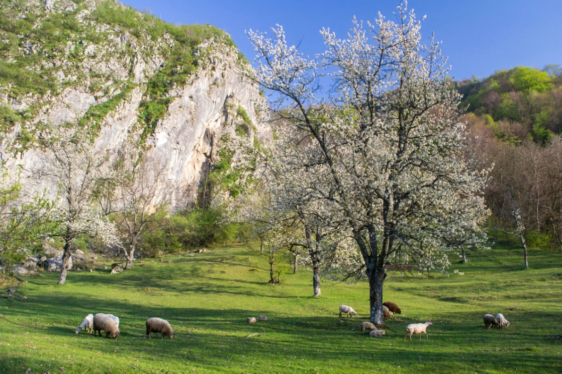 ce sa vizitezi banatul montan