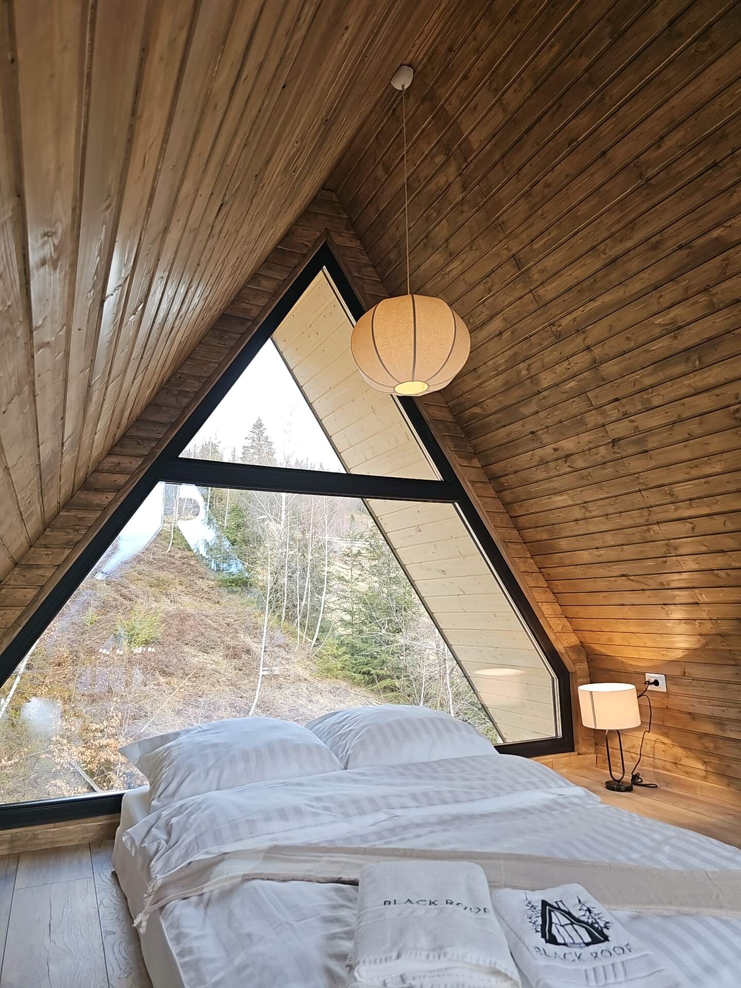 black roof chalet matisesti